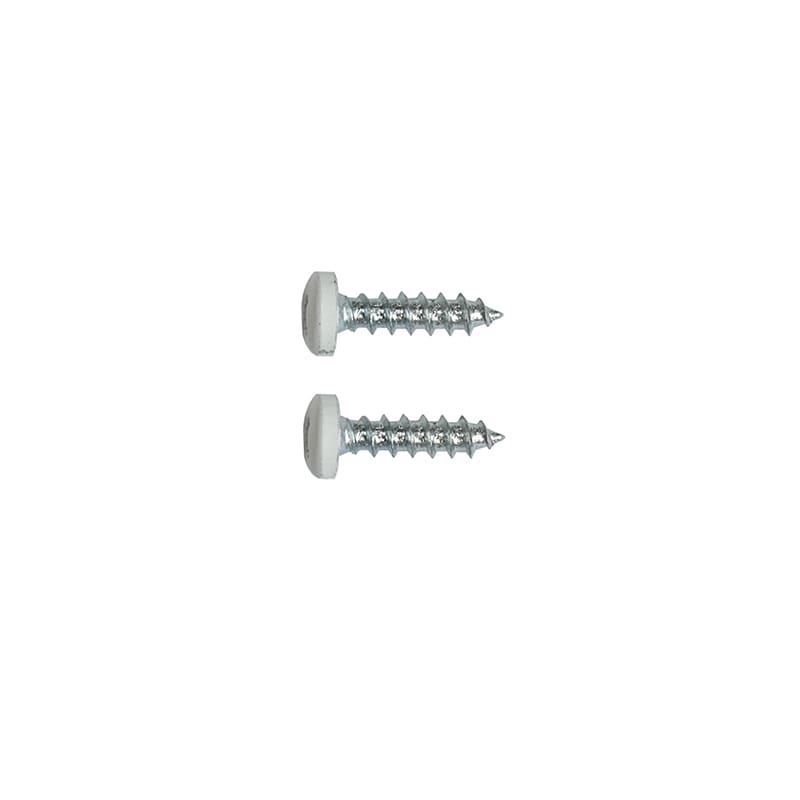 Self Tapping Screw With Painting Head